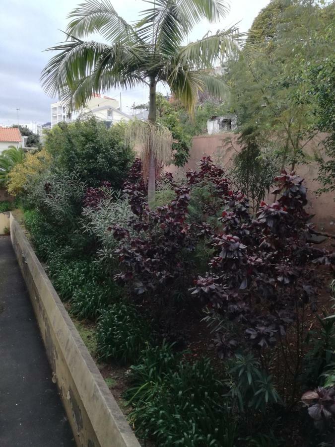 Madeira Funchal Gardensアパートメント エクステリア 写真
