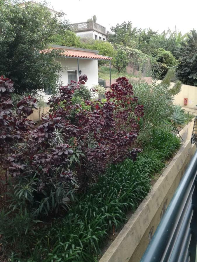 Madeira Funchal Gardensアパートメント エクステリア 写真